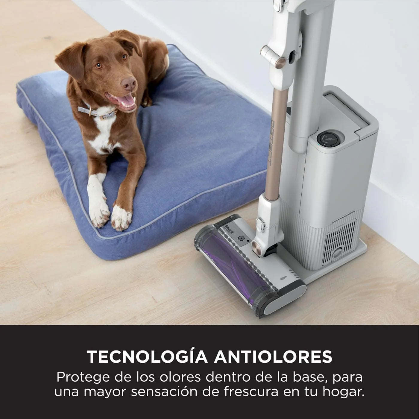 Shark Detect Clean & Empty Bagless Cordless Vacuum, Dirt Detect Technology and Self-Empty Base 2L 60min Runtime, Anti Hair Wrap and Narrow Nozzle and Brush, White, IW3612EU